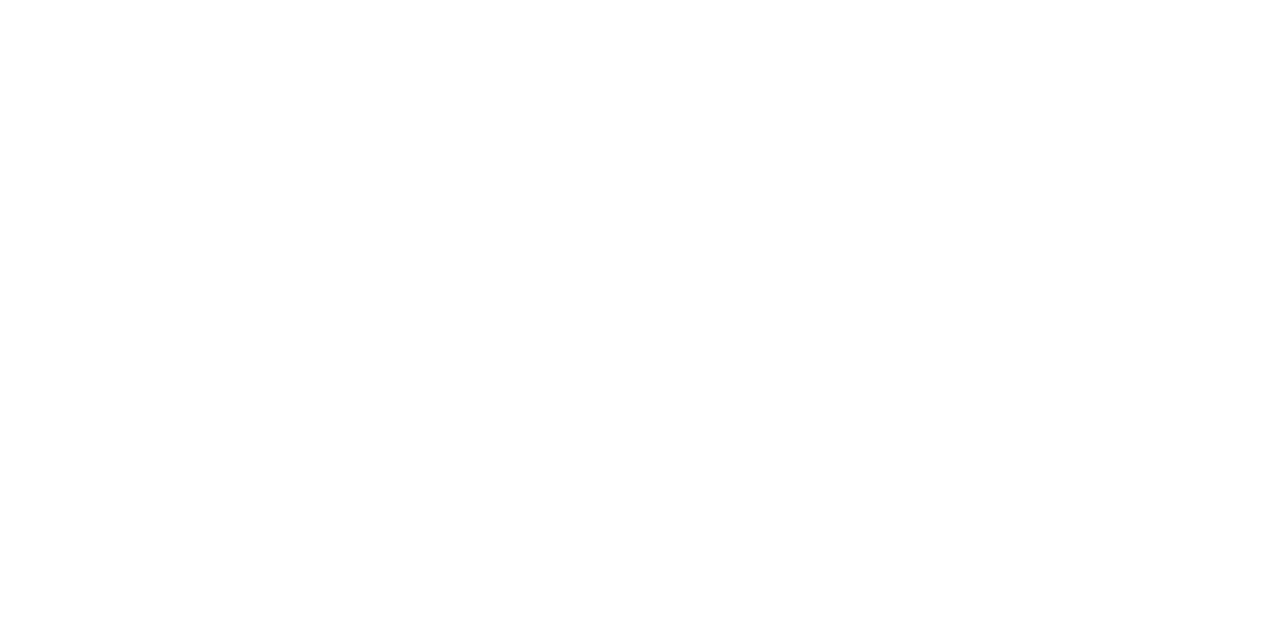 logo_soul_connection